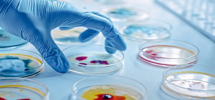 Basilea Pharma Receives US FDA Approval of Antibiotic Zevtera
